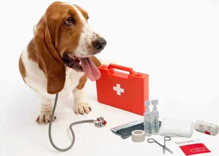 First Aid & Bio Solutions - First Aid Kits