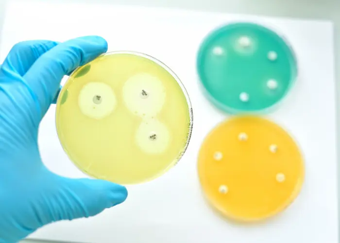 Personal Protection - Anti-microbial