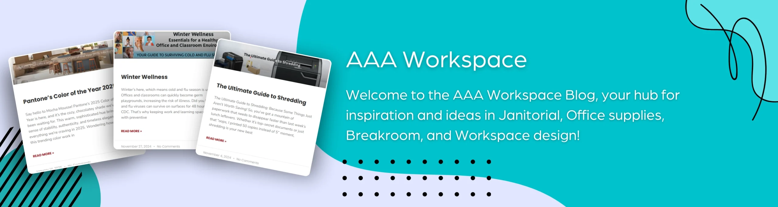 AAA WS Blog Banner