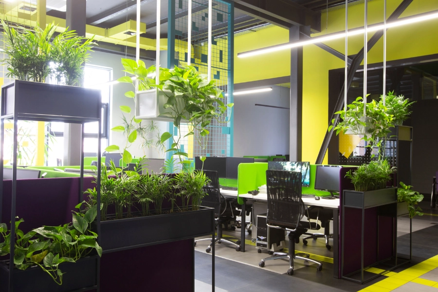 Bringing the Outdoors In 2