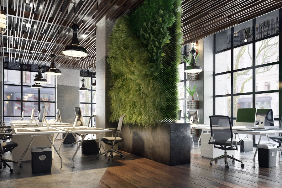 Bringing the Outdoors In 4