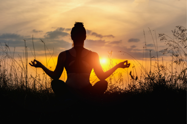Wellness Rooms - Mental Health Support