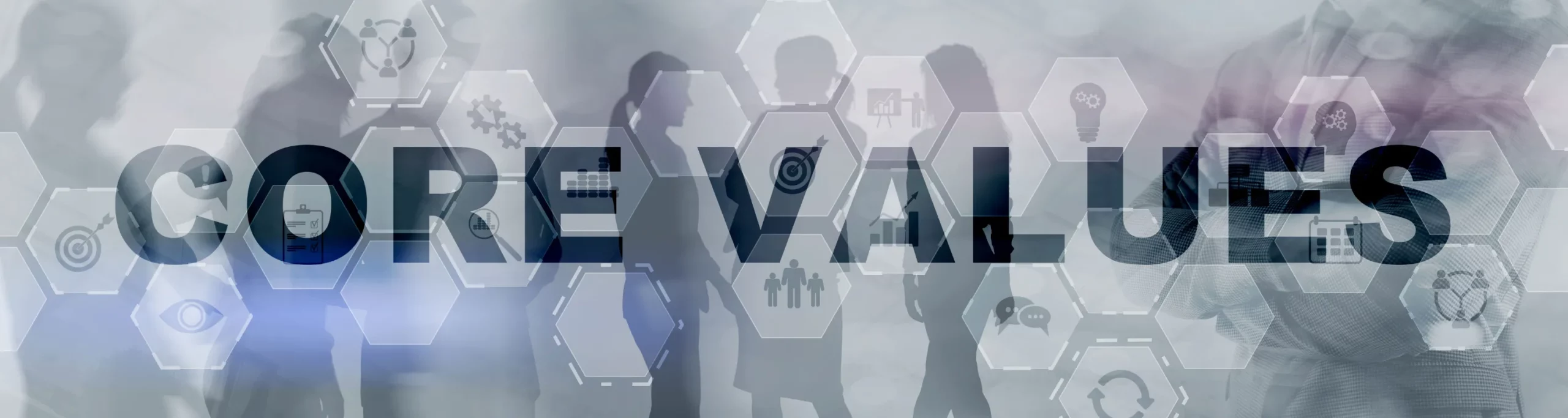 Core Values Banner