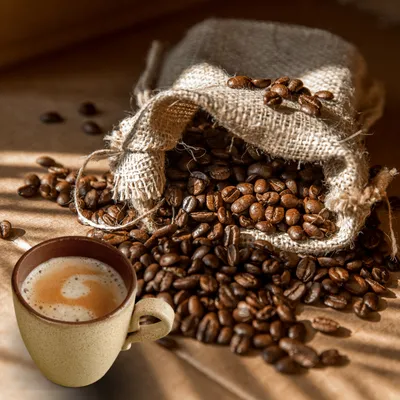 Coffee Brewer 1