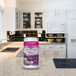 Breakroom Cleaning - Disinfecting Wipes