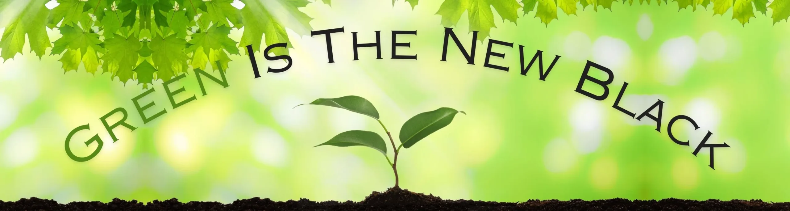 Green Is The New Black (C)
