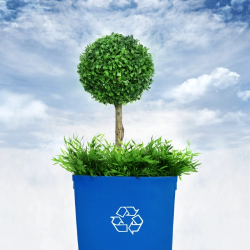 Illustration of going green cleaning products