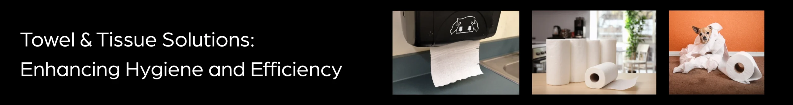 Towel & Tissue Solutions Enhancing Hygiene and Efficiency