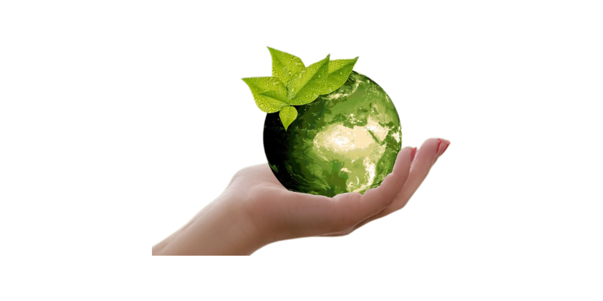 Earth Good Hands