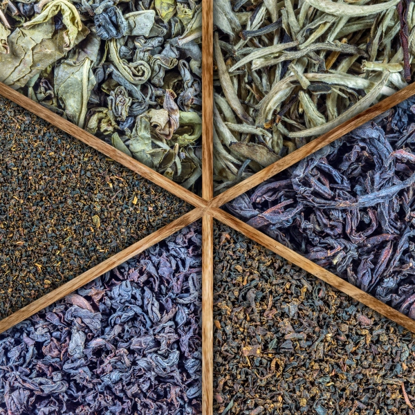 Tea Leaves 3