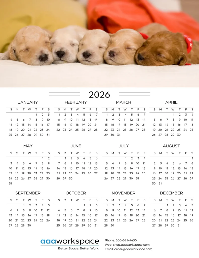 2026 Cal -1