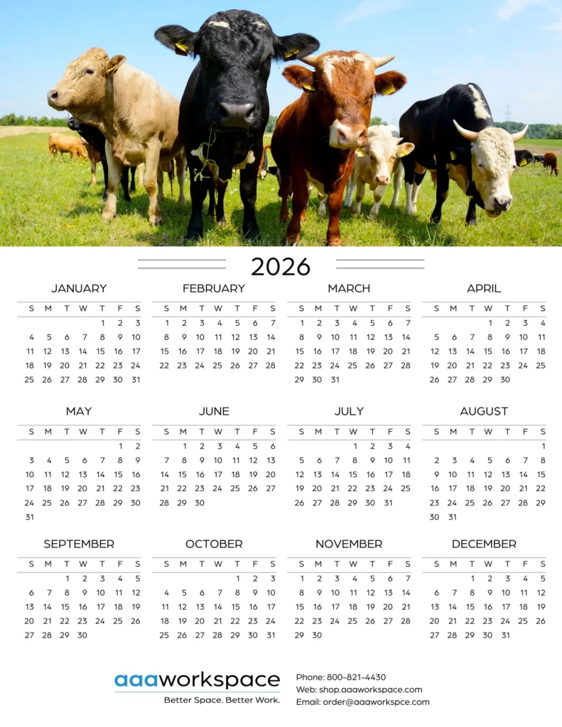 2026 Cal -11