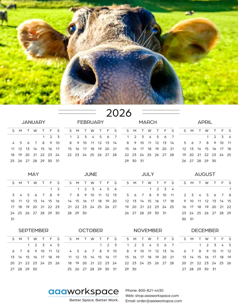 2026 Cal -12