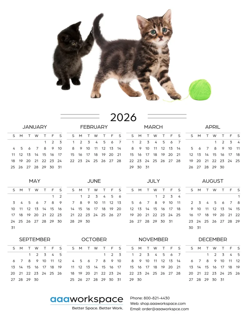 2026 Cal -3