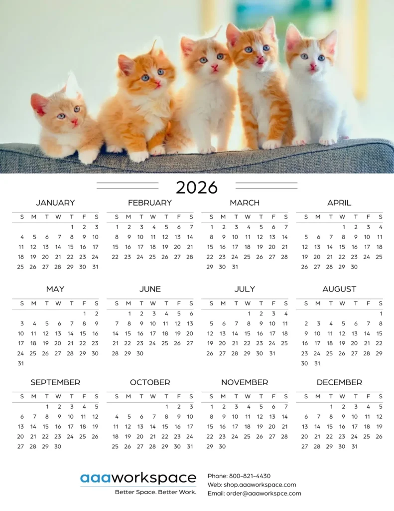 2026 Cal -4