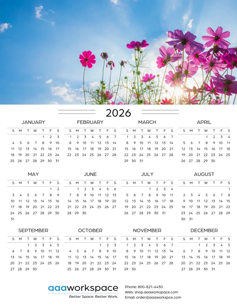 2026 Cal -6