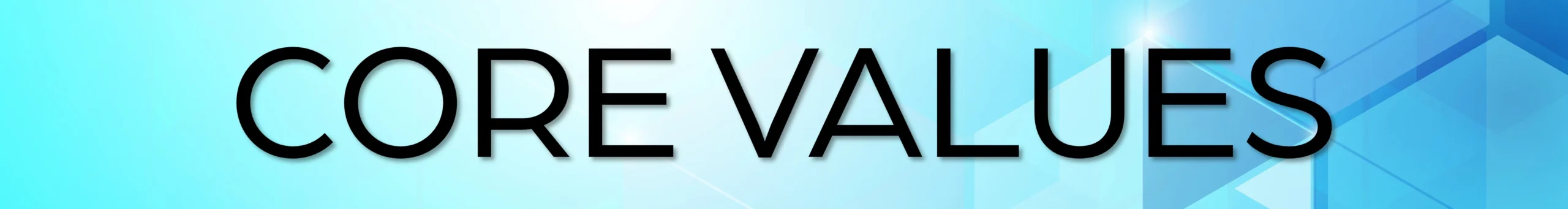 Core Values Page Banner_rev3