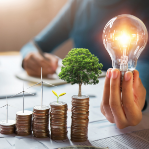 Sustainable & responsible choices